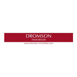 Dromson Immobilier logo