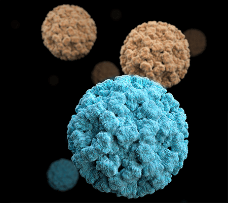 Coronavirus-Virus-Informatique-apercu-site Coronavirus et virus informatique Emotet