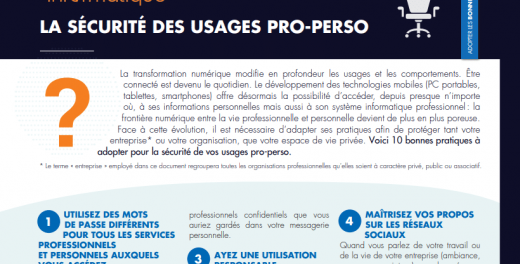 Preview de l'infographique sur la sécurisation des usages pro & perso